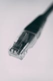 Локальные сети поднимают конец домкратом cat5 штепсельной вилки стоковые изображения Локальные сети поднимают конец домкратом cat5 штепсельной вилки стоковые изображения