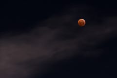 Луна крови стоковые изображения rf Луна крови стоковые изображения rf