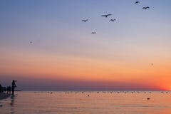 Люди встречают красочный восход солнца на пляже к морю силуэты людей и чайок отец держит ребенка на его стоковые фотографии rf Люди встречают красочный восход солнца на пляже к морю силуэты людей и чайок отец держит ребенка на его стоковые фотографии rf