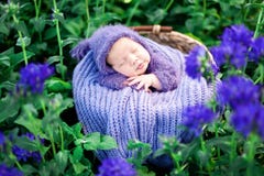 младенец 17 дней старый усмехаясь newborn спит на его животе в корзине на природе в саде внешнем стоковые изображения младенец 17 дней старый усмехаясь newborn спит на его животе в корзине на природе в саде внешнем стоковые изображения