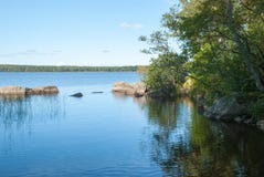 Малая зона тростников в воде, береге с камнями и ветвях смертной казни через повешение деревьев Стоковые Изображения Малая зона тростников в воде, береге с камнями и ветвях смертной казни через повешение деревьев Стоковые Изображения