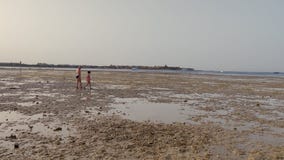 Малая вода на пляже, мертвый риф, на заходе солнца подросток человека и девушки в купальниках идет на пляж во время отлива, рассм сток-видео Малая вода на пляже, мертвый риф, на заходе солнца подросток человека и девушки в купальниках идет на пляж во время отлива, рассм сток-видео
