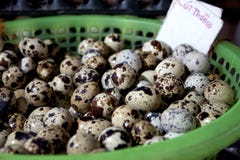 Малая птица eggs для продажи стоковые изображения Малая птица eggs для продажи стоковые изображения