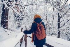 Маленькая девочка имеет прогулку через толстый лес во время красивого зимнего дня стоковая фотография rf Маленькая девочка имеет прогулку через толстый лес во время красивого зимнего дня стоковая фотография rf
