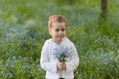 Маленькая девочка с букетом незабудок в ее руках на зацветенном луге стоковое изображение rf Маленькая девочка с букетом незабудок в ее руках на зацветенном луге стоковое изображение rf
