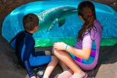 Мальчик и девушка смотря милого дельфина через окно на Seaworld в международной зоне привода стоковая фотография Мальчик и девушка смотря милого дельфина через окно на Seaworld в международной зоне привода стоковая фотография