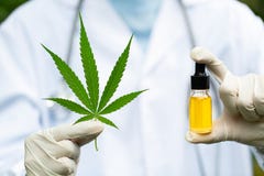 Масло пеньки Cbd, владение руки доктора и предложить к терпеливым медицинским марихуане и маслу , законные светлые лекарства пред стоковая фотография Масло пеньки Cbd, владение руки доктора и предложить к терпеливым медицинским марихуане и маслу , законные светлые лекарства пред стоковая фотография