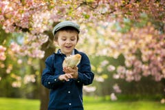 Милый прелестный ребенок дошкольного возраста, мальчик, играя с маленькими цыпленоками стоковая фотография rf Милый прелестный ребенок дошкольного возраста, мальчик, играя с маленькими цыпленоками стоковая фотография rf