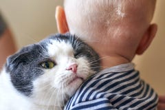 Милый мальчик обнимает большую кошку стоковые изображения Милый мальчик обнимает большую кошку стоковые изображения