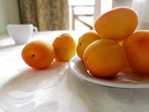 Много желтых зрелых абрикосов на белой плите стоковые изображения rf Много желтых зрелых абрикосов на белой плите стоковые изображения rf
