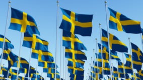 Много национальных флагов Швеции на флагштоках перед голубым небом бесплатная иллюстрация Много национальных флагов Швеции на флагштоках перед голубым небом бесплатная иллюстрация
