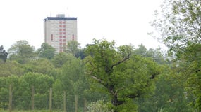 Многоквартирный дом поднимая от леса 3 стоковые фотографии rf Многоквартирный дом поднимая от леса 3 стоковые фотографии rf