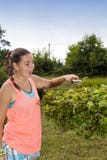 Молодая женщина режа и подрезая дерево клена (laurinum acer) стоковые изображения Молодая женщина режа и подрезая дерево клена (laurinum acer) стоковые изображения