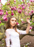 Молодая милая девушка ослабляет в красивом саде Фантастические розовые магнолии Стоковое Изображение RF Молодая милая девушка ослабляет в красивом саде Фантастические розовые магнолии Стоковое Изображение RF