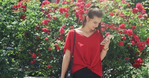 Молодая умная привлекательная красивая девушка в красном ликовании блузки сообщения в ее smartphone, куста с розами городскими акции видеоматериалы Молодая умная привлекательная красивая девушка в красном ликовании блузки сообщения в ее smartphone, куста с розами городскими акции видеоматериалы