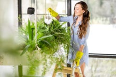 Молодой садовник в orangery с зелеными растениями Стоковые Изображения RF Молодой садовник в orangery с зелеными растениями Стоковые Изображения RF