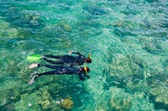 Snorkelers, большой риф барьера, Австралия Стоковое фото RF Snorkelers, большой риф барьера, Австралия Стоковое фото RF