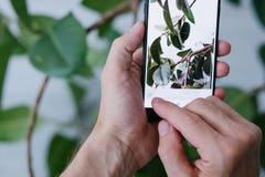Мобильный телефон нововведения технологии искусства фотографии стоковое изображение Мобильный телефон нововведения технологии искусства фотографии стоковое изображение