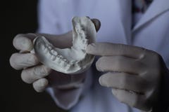 Модель зуба для образования в лаборатории стоковое изображение Модель зуба для образования в лаборатории стоковое изображение