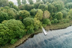 Мола рыбной ловли на пруде с отражениями облака и лесе с стоковые фотографии rf Мола рыбной ловли на пруде с отражениями облака и лесе с стоковые фотографии rf