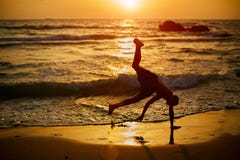 Молодое capoeira игры мальчика на пляже Ребенок счастлив и имеет потеху для того чтобы сделать спорт около моря во время захода с стоковая фотография Молодое capoeira игры мальчика на пляже Ребенок счастлив и имеет потеху для того чтобы сделать спорт около моря во время захода с стоковая фотография