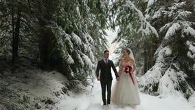 Молодые пары свадьбы идя, усмехаясь и говоря держащ руки в снежном лесе во время снежностей groom невесты outdoors wedding зима сток-видео Молодые пары свадьбы идя, усмехаясь и говоря держащ руки в снежном лесе во время снежностей groom невесты outdoors wedding зима сток-видео