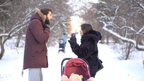 Молодые родители крича на одине другого около маленького младенца в розовой прогулочной коляске пока идущ в парк зимы Сердитая ма стоковое изображение Молодые родители крича на одине другого около маленького младенца в розовой прогулочной коляске пока идущ в парк зимы Сердитая ма стоковое изображение