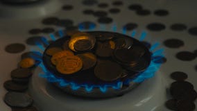 Монетки различных стран на газовой горелке Символ увеличивая цен на топливо видеоматериал Монетки различных стран на газовой горелке Символ увеличивая цен на топливо видеоматериал
