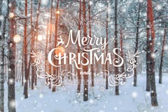 Морозный ландшафт зимы в снежной предпосылке Xmas леса с елями и запачканной предпосылке зимы с текстом с Рождеством Христовым Стоковые Фотографии RF Морозный ландшафт зимы в снежной предпосылке Xmas леса с елями и запачканной предпосылке зимы с текстом с Рождеством Христовым Стоковые Фотографии RF