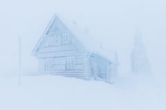 Морозный пасмурный день в деревьях Snowy леса горы елевых в пурге Кинематографическая съемка интенсивной вьюги Рождество стоковые изображения Морозный пасмурный день в деревьях Snowy леса горы елевых в пурге Кинематографическая съемка интенсивной вьюги Рождество стоковые изображения