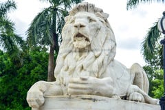 Мраморная статуя льва на входе к Виктории мемориальному Hall Стоковая Фотография Мраморная статуя льва на входе к Виктории мемориальному Hall Стоковая Фотография