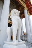 Мраморная статуя льва на входе мраморного виска в Бангкоке, Таиланде, Азии стоковые фотографии rf Мраморная статуя льва на входе мраморного виска в Бангкоке, Таиланде, Азии стоковые фотографии rf