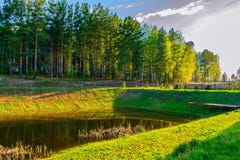 На береге красивого озера зеленый лес стоковая фотография rf На береге красивого озера зеленый лес стоковая фотография rf