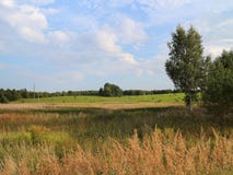 накошенная трава стоковые фото накошенная трава стоковые фото