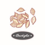 Нарисованное рукой conchiglie макаронных изделий изолированное на белизне Элемент для комплексного конструирования ресторана или бесплатная иллюстрация Нарисованное рукой conchiglie макаронных изделий изолированное на белизне Элемент для комплексного конструирования ресторана или бесплатная иллюстрация