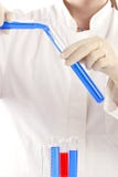 научный работник лаборатории химикатов стоковые изображения rf научный работник лаборатории химикатов стоковые изображения rf