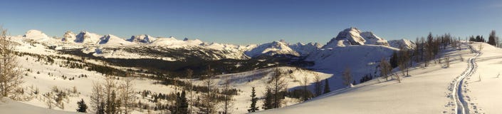 Национальный парк Banff скалистых гор широкого ландшафта зимы панорамного канадский стоковые фотографии rf Национальный парк Banff скалистых гор широкого ландшафта зимы панорамного канадский стоковые фотографии rf