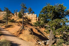 Национальный парк каньона Bryce, один из самых красивых парков в мире стоковые изображения rf Национальный парк каньона Bryce, один из самых красивых парков в мире стоковые изображения rf