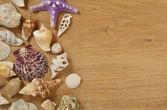 Наяды на конце деревянного стола вверх Seashells на старом деревянном столе с космосом экземпляра для текста стоковая фотография Наяды на конце деревянного стола вверх Seashells на старом деревянном столе с космосом экземпляра для текста стоковая фотография