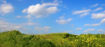 небо травы предпосылки небо травы предпосылки