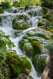 Небольшие водопады с утесами и мох в озерах национальном парке Plitvice, Хорватии стоковое фото Небольшие водопады с утесами и мох в озерах национальном парке Plitvice, Хорватии стоковое фото