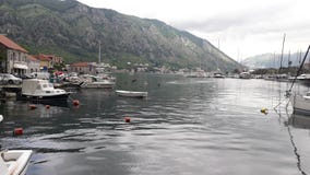 небольшой старый городок на море в Kotor стоковые изображения небольшой старый городок на море в Kotor стоковые изображения