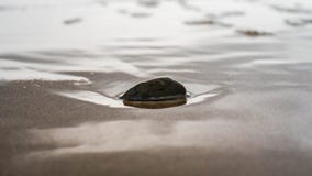 Небольшой утес в песке стоковое фото Небольшой утес в песке стоковое фото