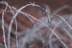 Неиспользованная колючая проволока крыши стоковая фотография rf Неиспользованная колючая проволока крыши стоковая фотография rf