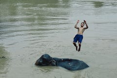 некоторое время потехи после того как mahout помыл его слона в Меконге стоковые фото некоторое время потехи после того как mahout помыл его слона в Меконге стоковые фото