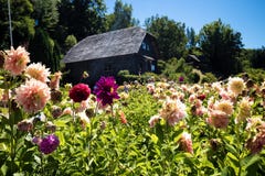 Немецкий дом с цветками в Frutillar в Чили стоковые фото Немецкий дом с цветками в Frutillar в Чили стоковые фото