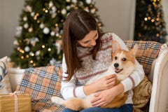 Немногое кардиган Corgi валийца щенка лежит на кресле на подоле девушки стоковые изображения rf Немногое кардиган Corgi валийца щенка лежит на кресле на подоле девушки стоковые изображения rf