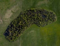 Немногое лес - взгляд трутня сверху стоковое изображение Немногое лес - взгляд трутня сверху стоковое изображение