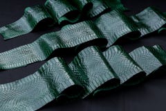 Неподдельная кожа snakeskin кобры, кожа змейки, текстура, животное, гад на черной предпосылке стоковые фото Неподдельная кожа snakeskin кобры, кожа змейки, текстура, животное, гад на черной предпосылке стоковые фото