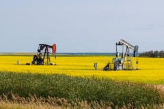 2 нефтяной скважины в ярком желтом канола поле стоковые фото 2 нефтяной скважины в ярком желтом канола поле стоковые фото